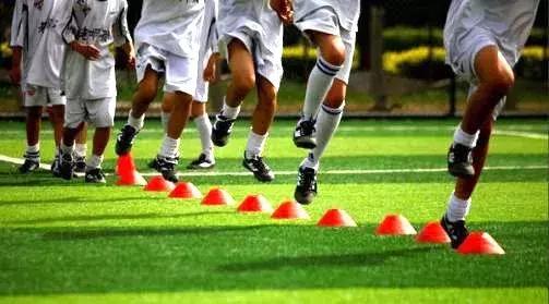 云南省示范学校,云南省一级示范学校