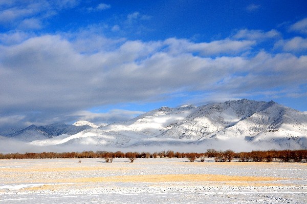 生活在*藏西**多年的“外来物”，竟隐瞒着自己的身份