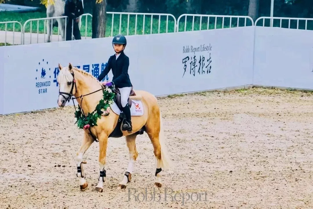 第七天·尊享｜“英伦主题”马术游园会邀您共享秋日盛宴