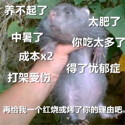 g胖创立v社和steam,g胖回应steam