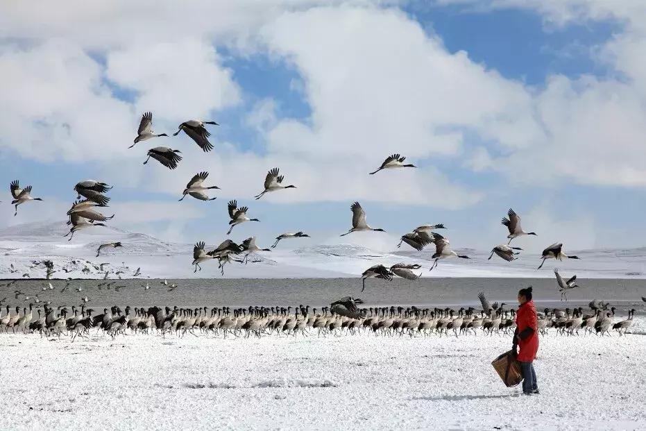 大美云南写真,大美云南山水