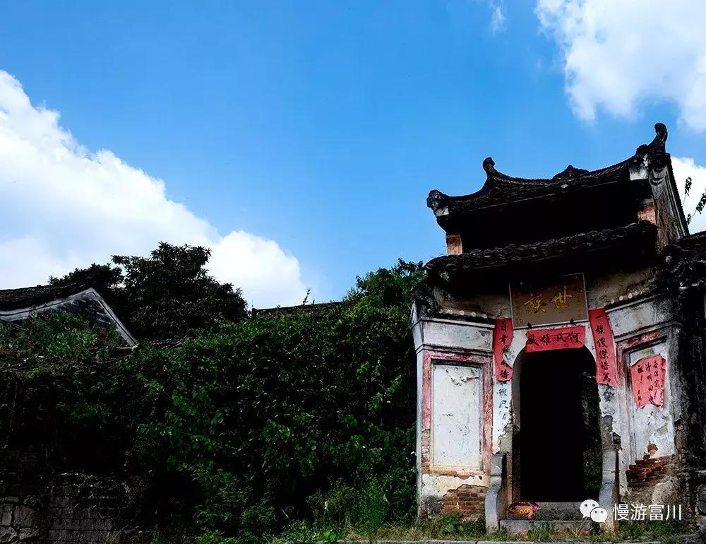 富川山清水秀,富川有树林的地方