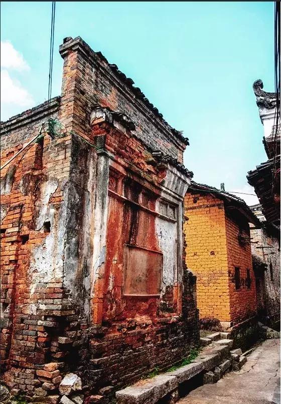 富川山清水秀,富川有树林的地方