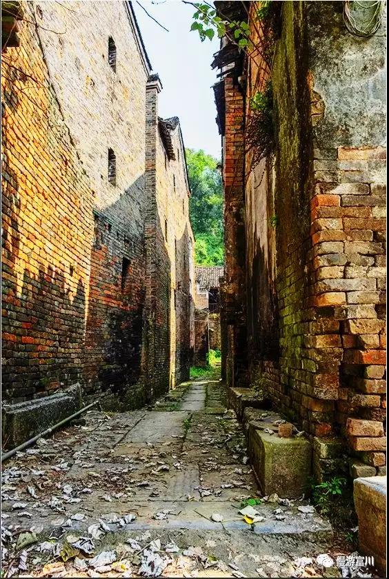 富川山清水秀,富川有树林的地方
