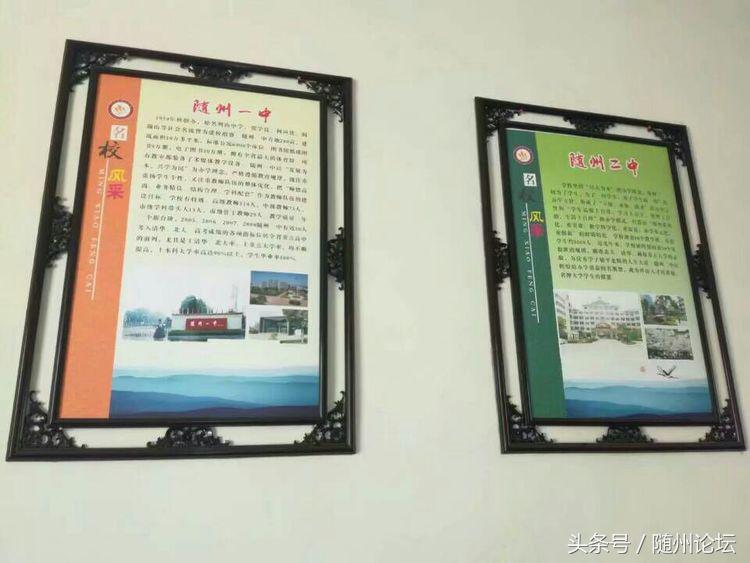 生态教育促成长浓墨重彩绘华章——记阔步前进中的洪山镇中心学校