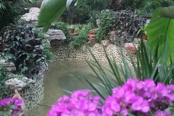 山东温泉必打卡,山东十大温泉