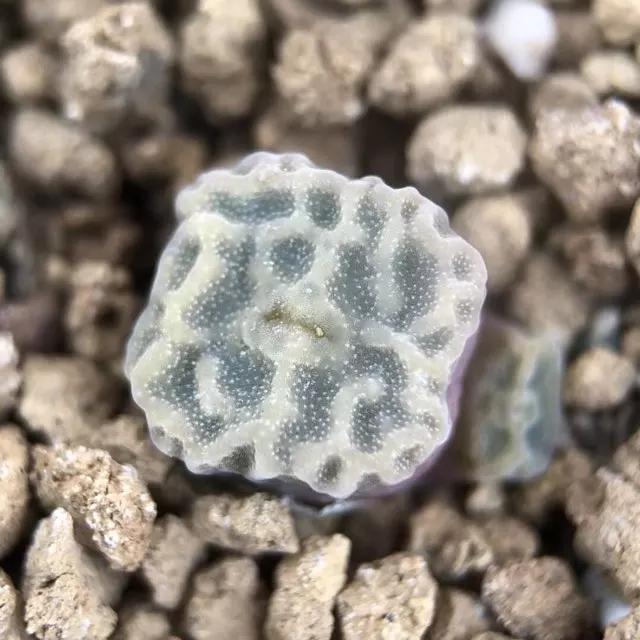 慢生活轻阅读,慢生活完整