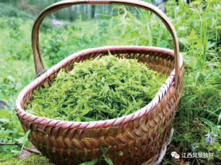 江西特产有哪些值得带过年,美丽中国版中秋节