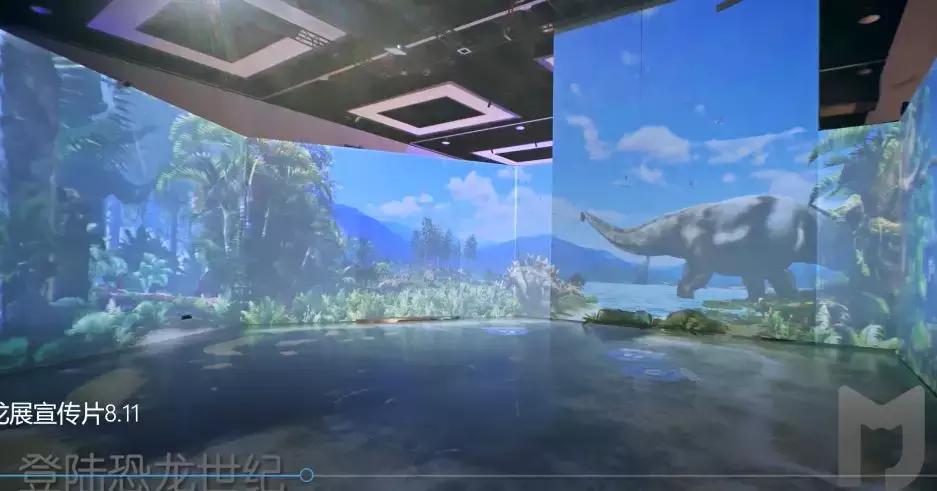 2018cae上海展,2018caac猫展冠军