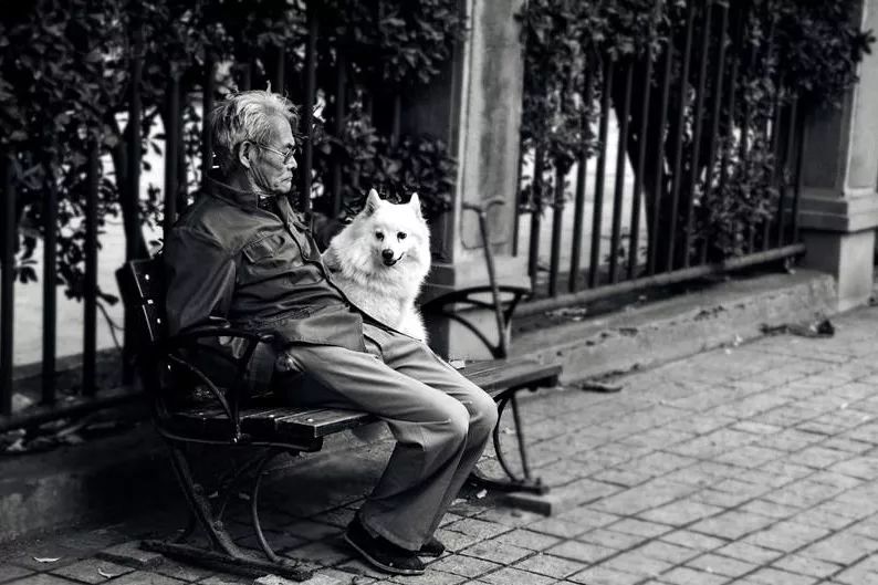 法拉利和mpv,80万法拉利mpv