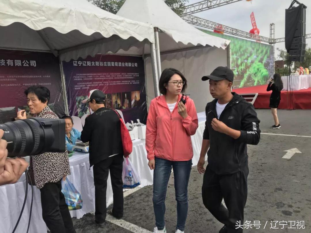 辽宁粮食节直播,辽宁卫视丰收节现场直播