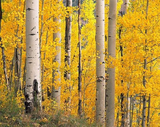 木材家具制作,制作家具材料大全