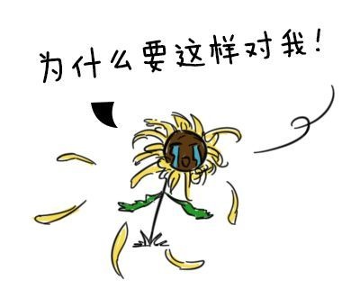 有一种忧伤是哪首歌里的歌词,有一种忧伤叫老歌