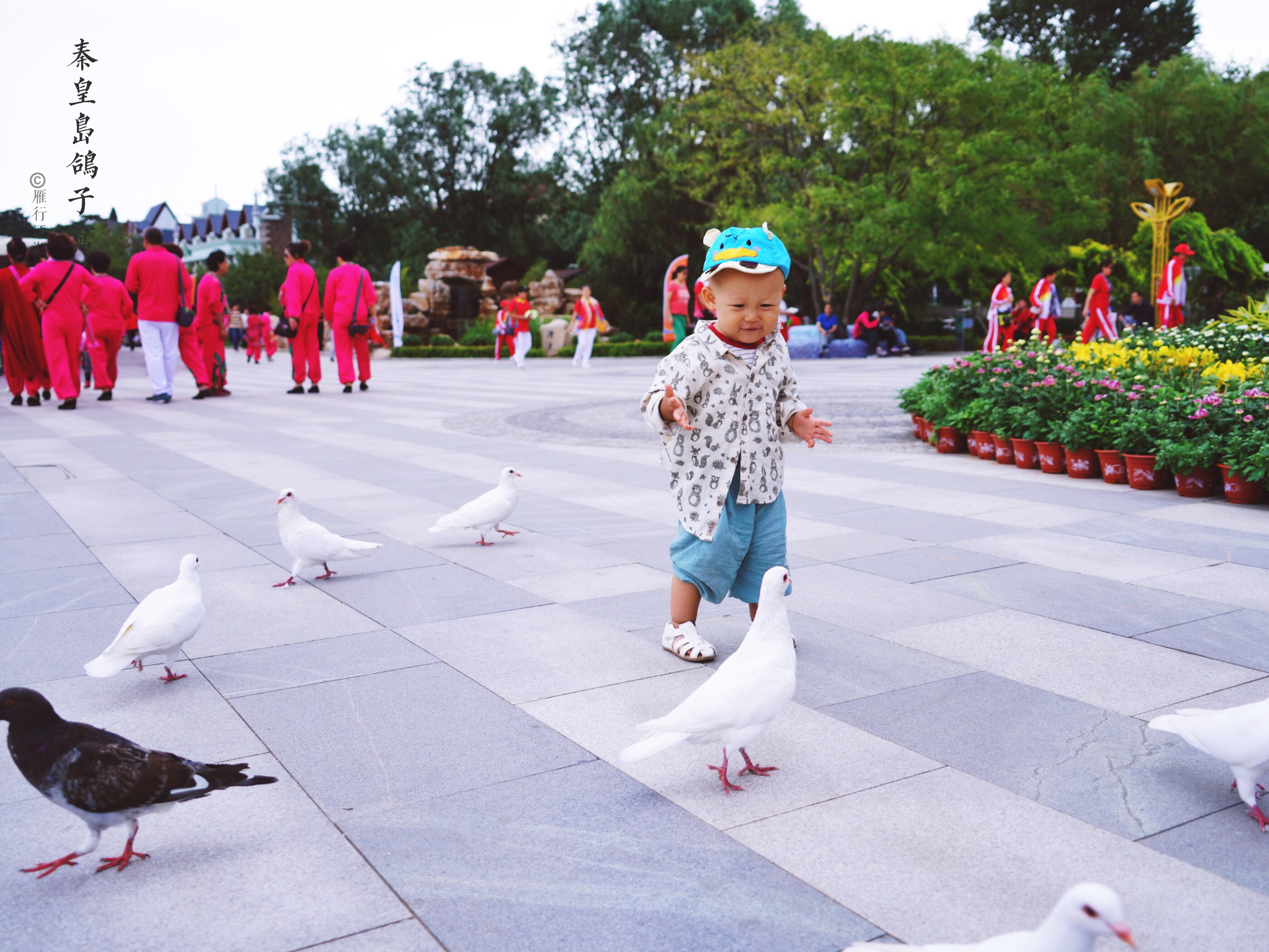 秦皇岛最佳观日出地点,秦皇岛市区日出最佳观赏地