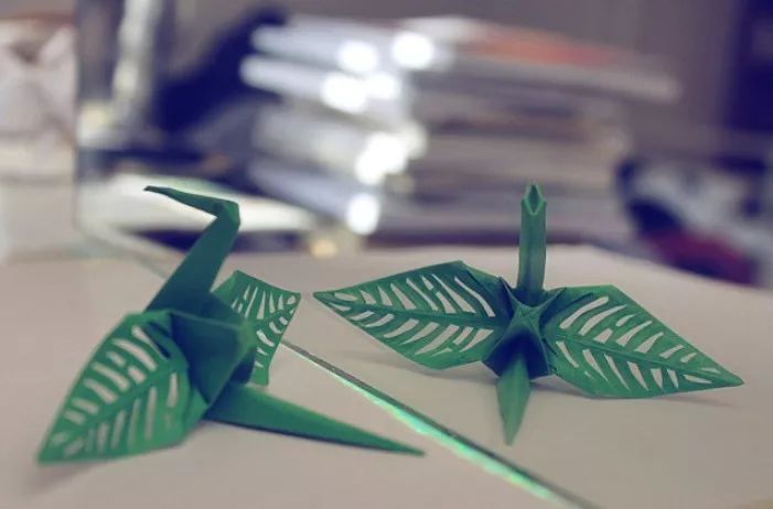 每天折一个千纸鹤,每天折一只纸鹤