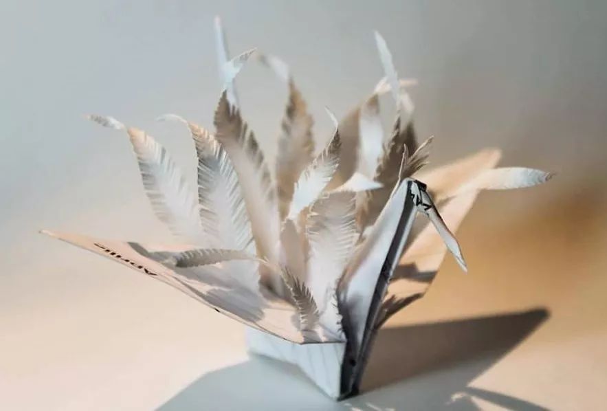 每天折一个千纸鹤,每天折一只纸鹤