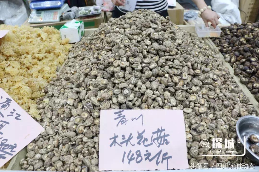 中秋赶地铁就能到的好去处,来一趟西博会好比去了全球90多个地区