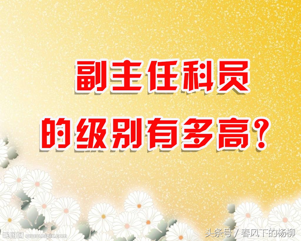 “陈婧妍妈妈”的副主任科员是什么级别？
