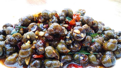 中秋烧宝塔的习俗由来,中秋习俗美食和诗词