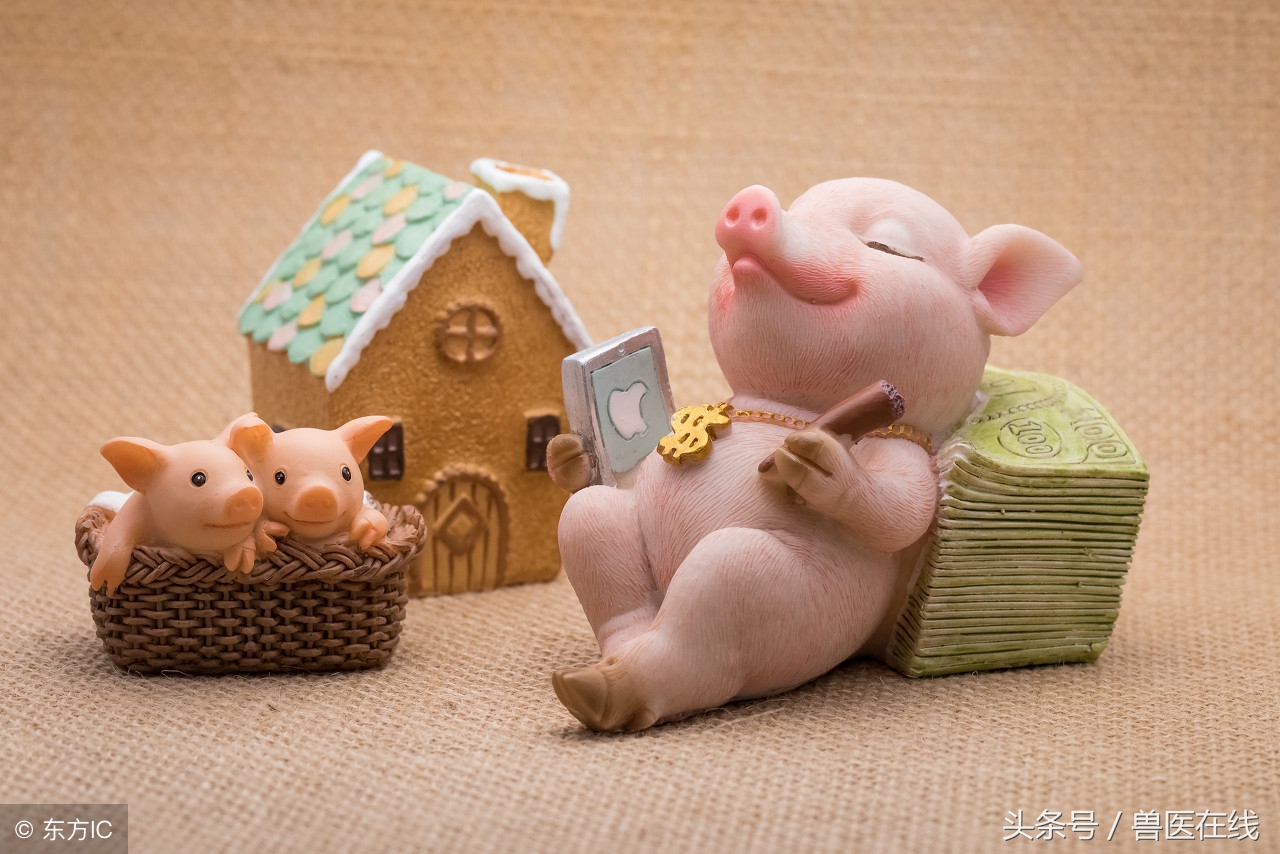 猪场管理的六种方法,猪场管理思路和方法