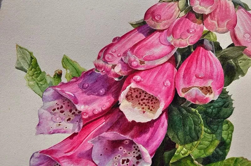 她画的超写实水彩花卉美到窒息,让人惊艳的水彩画