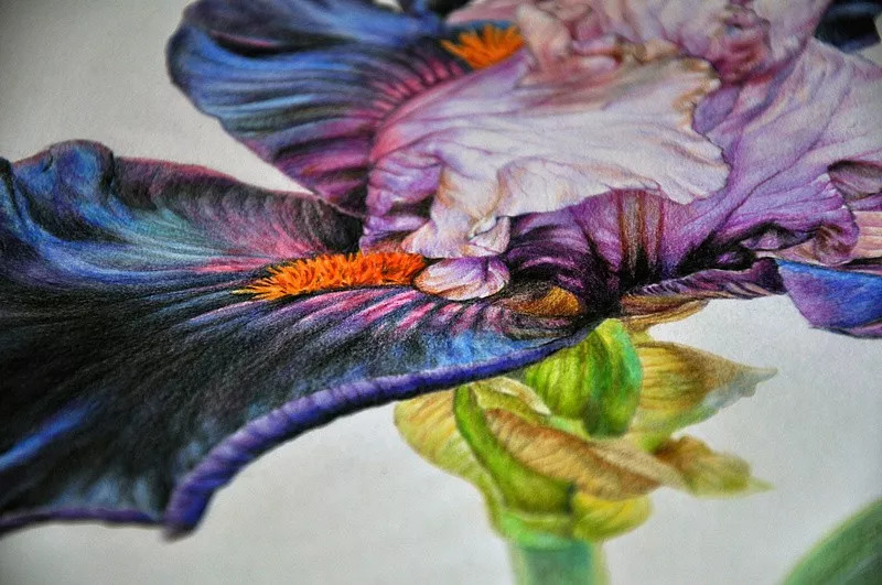 她画的超写实水彩花卉美到窒息,让人惊艳的水彩画