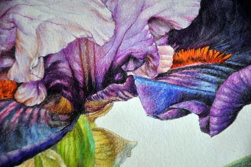 她画的超写实水彩花卉美到窒息,让人惊艳的水彩画