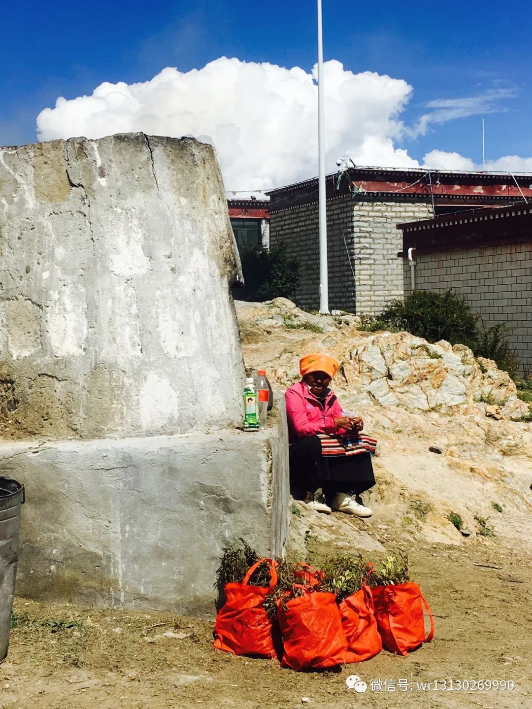 甘丹寺一日游详细攻略,甘丹寺旅行