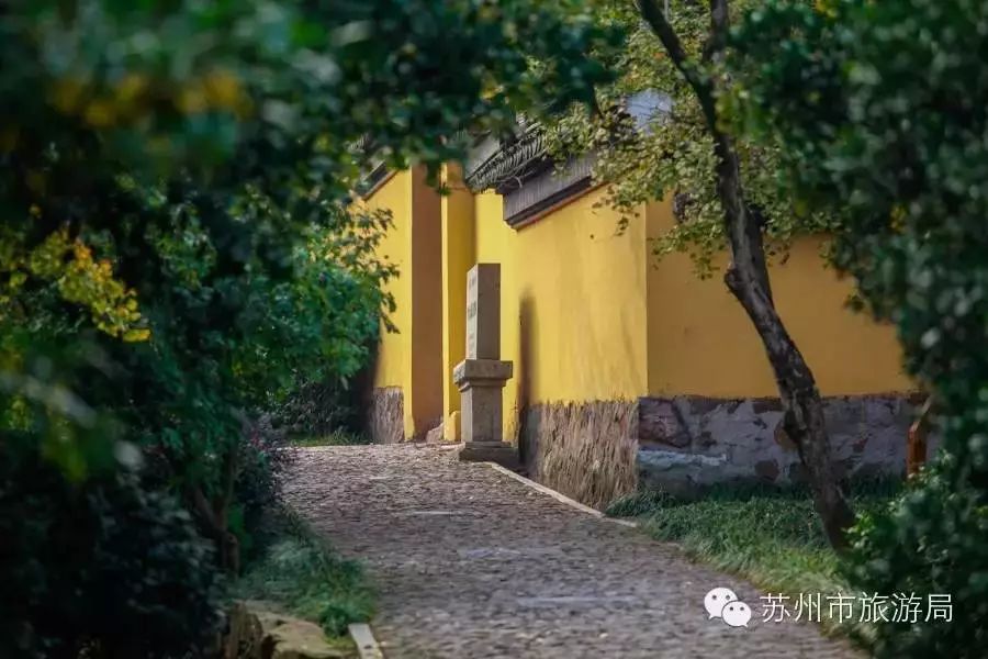 东山橘子采摘节怎么样,苏州东山橘子采摘攻略