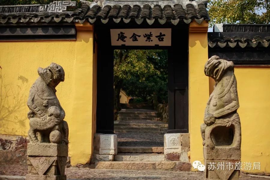 东山橘子采摘节怎么样,苏州东山橘子采摘攻略