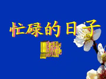 中秋节｜一篇专门给老爸老妈的防骗指南，看完一定转发