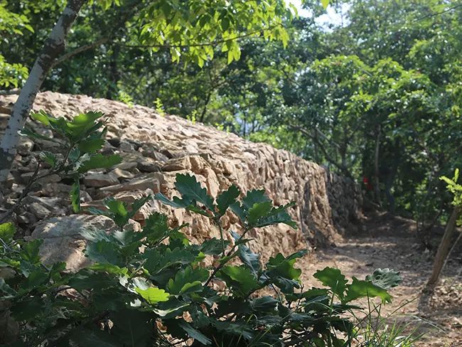 国庆大连棒棰岛旅游攻略,欢度国庆景区