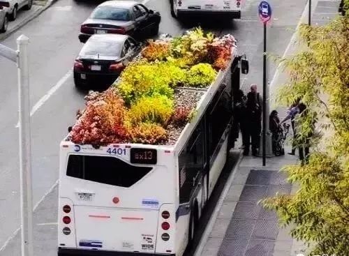 北平的秋天,北平的秋天全文