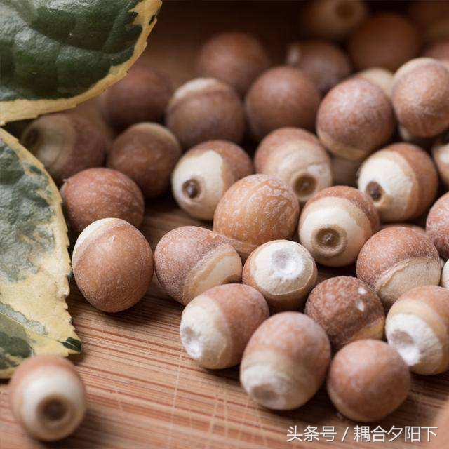 遗精吃什么食物最好排毒,阴虚火旺遗精忌吃什么食物