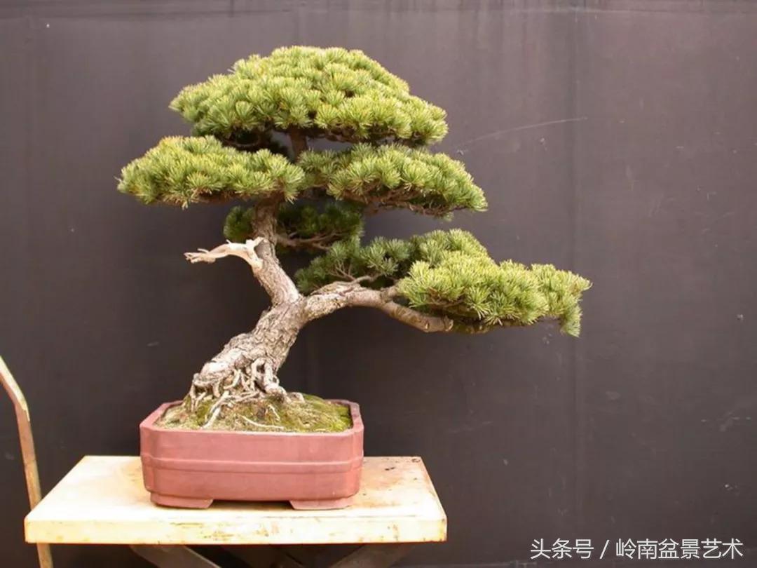 神来之笔绘画作品欣赏,神来之笔书法作品大全