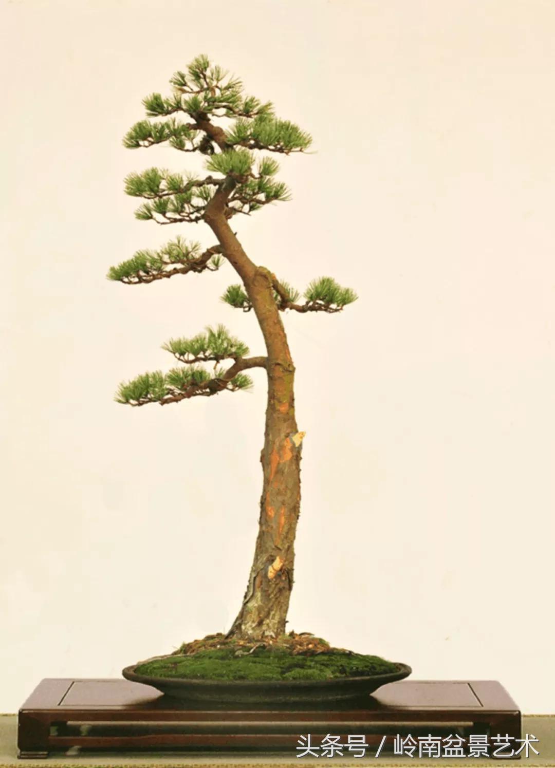 神来之笔绘画作品欣赏,神来之笔书法作品大全