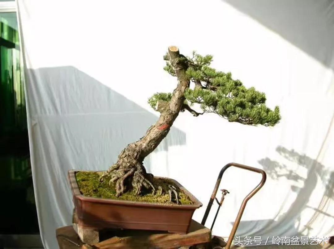 神来之笔绘画作品欣赏,神来之笔书法作品大全