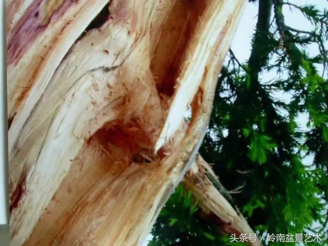 神来之笔绘画作品欣赏,神来之笔书法作品大全