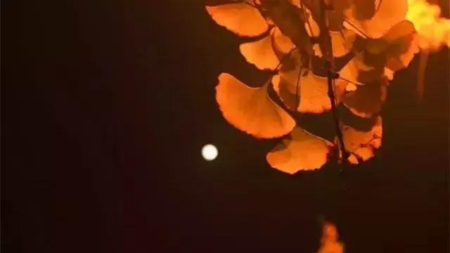 描写月亮最唯美经典的古诗词汇总,月是故乡明关于月亮的古诗词