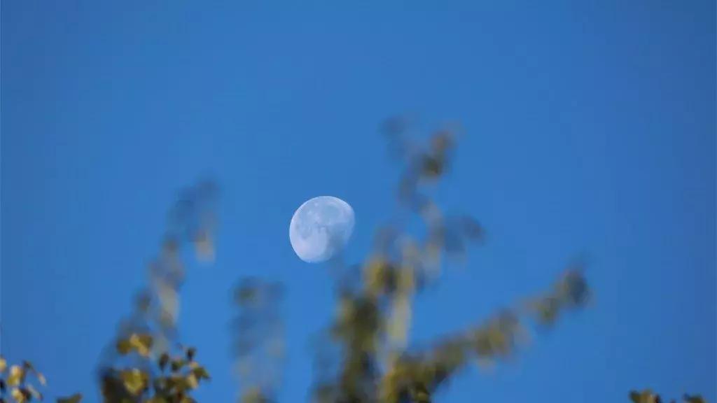 描写月亮最唯美经典的古诗词汇总,月是故乡明关于月亮的古诗词