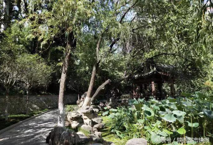 西安被遗忘的公园,西安被人遗忘的公园