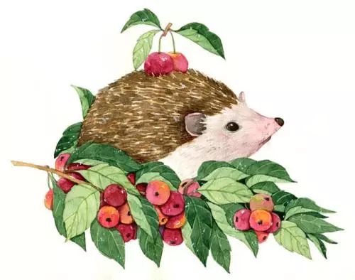 “给你”不是“giveyou”！那应该怎么说？