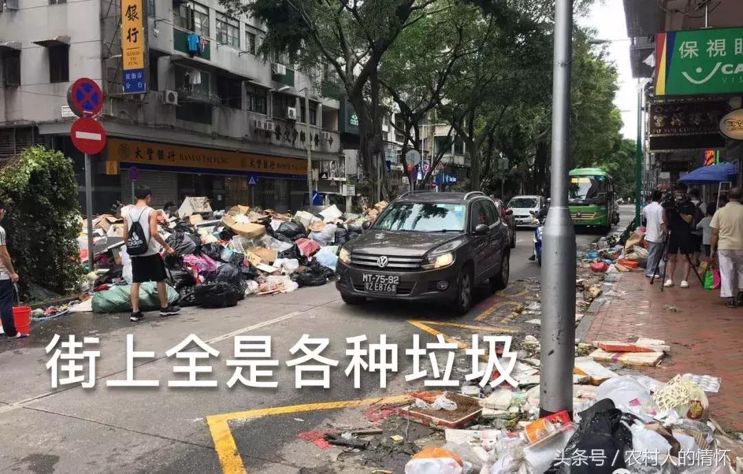 “三竹”过后真正的报应来了