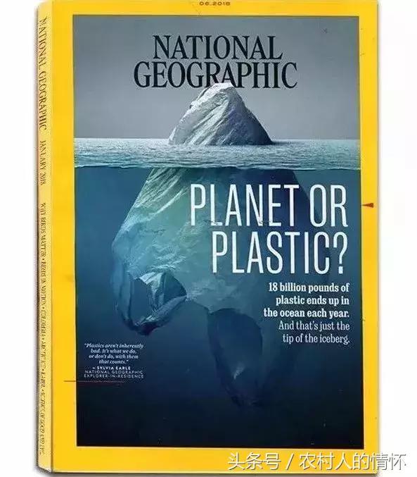 “三竹”过后真正的报应来了