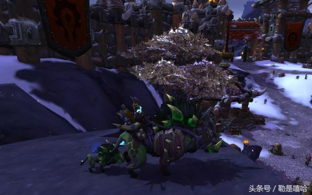 魔兽世界各种稀有宠物排名,魔兽世界稀有宠物排行榜