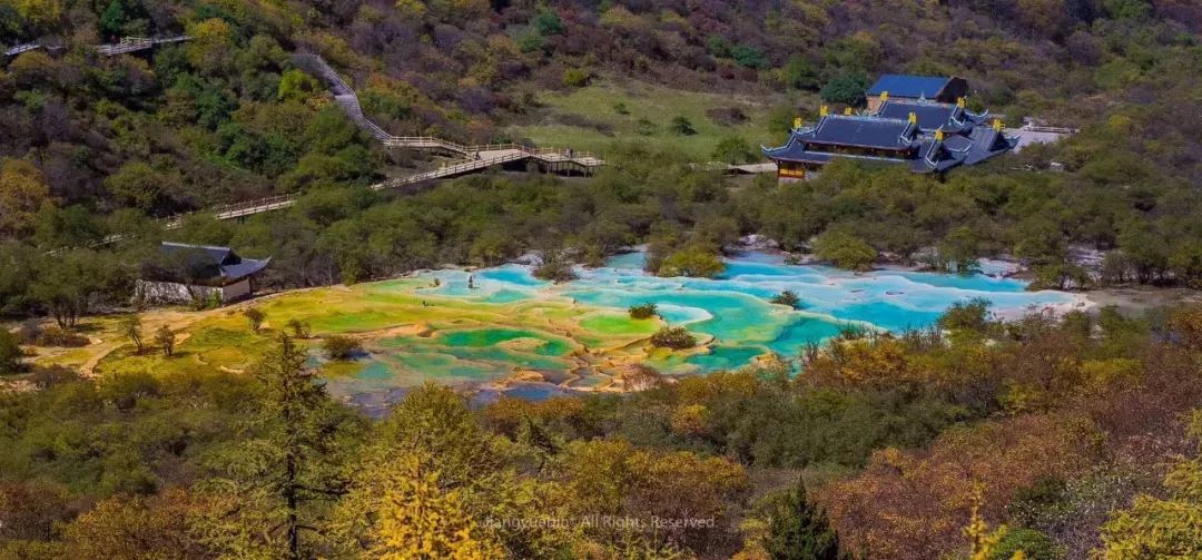 红叶秋天的一道独特风景,红叶美景惊艳了整个秋天