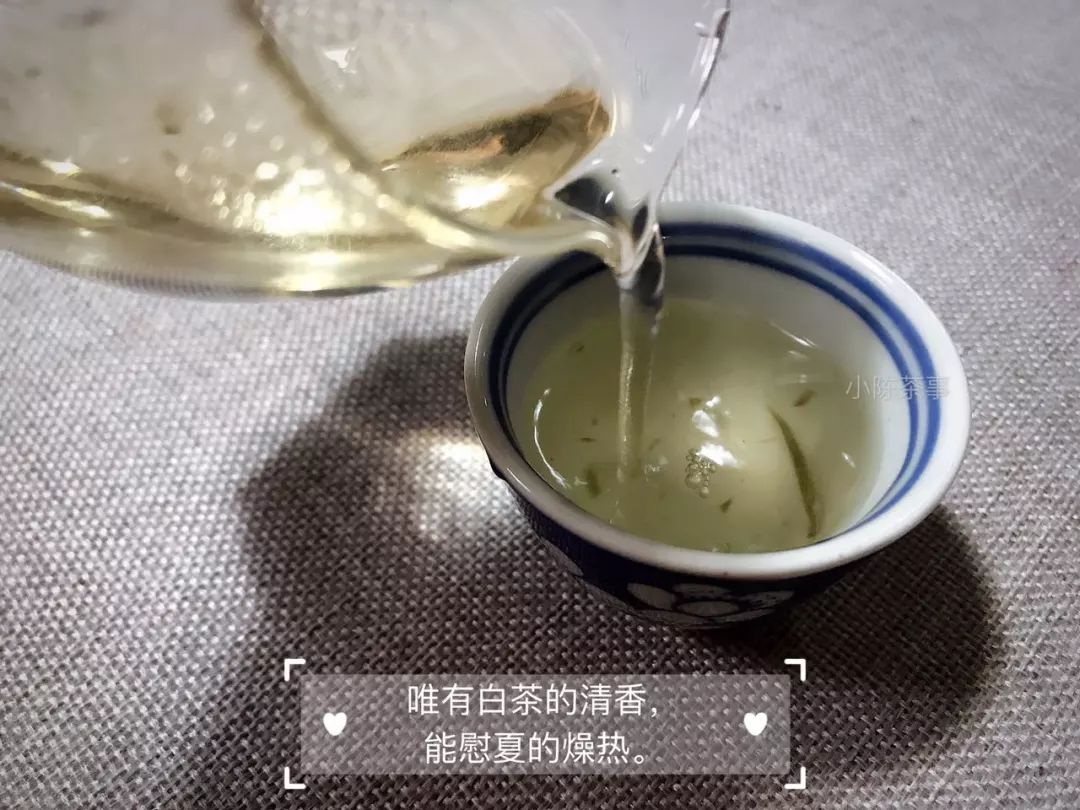 白茶轻微的受潮怎么处理,白茶受潮了怎么办