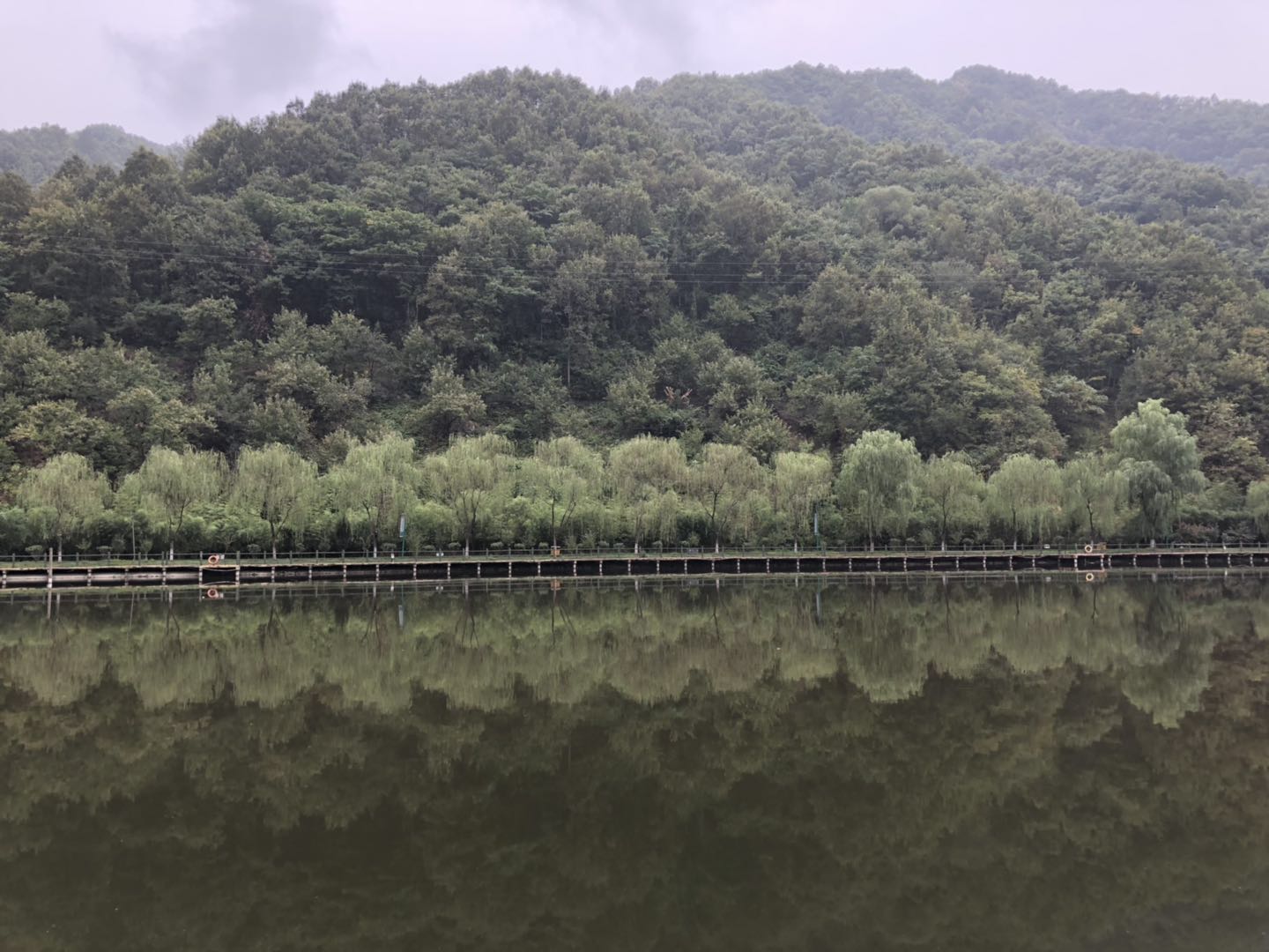 人间仙境洛阳栾川老君山,河南旅游景点推荐洛阳重渡沟
