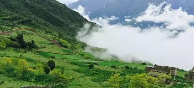 浮云牧场官方账号,关于浮云牧场的抖音