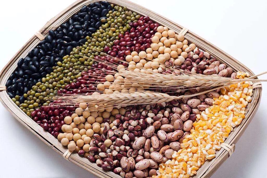 育儿知识100个经典,育儿知识大全0到3岁家长看的书